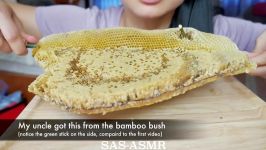 ASMR EXTREME RAW FRESH Honeycomb STICKY EATING SOUNDS No Talking  3