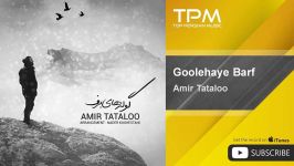 Amir Tataloo  Goolehaye Barf امیر تتلو قله برفی