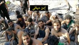 اسیر شدن داعشی در الحویجه کرکوک