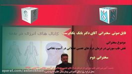 نقش طب سوزنی در درمان دردهای عصبی عضلانی در آسیب نخاعی