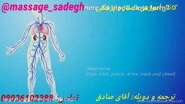 شناخت DVT ترومبوز وریدی عمقی PE آمبولی ریه