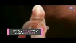 معجزه قرآن کریم در رابطه مراحل رشد جنین