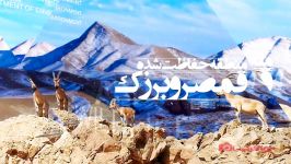 Census of wildlife in Isfahan province documentary Directed by peyman shakerini