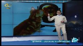 رضا روشندل مجری برنامه شبهای اترک