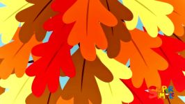 Why Do Leaves Change Color  Original Kids Song from Treetop Family