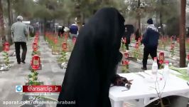 نماهنگ بهارم صدای حامد زمانی به مناسبت روز مادر