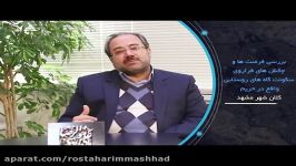 دکتر قربانی  سرپرست معاونت عمرانی استانداری خراسان رضوی 9