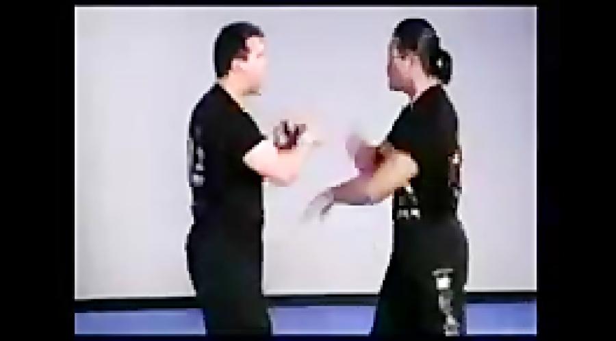 جیت کان دو استاد سعید صفری Daninosanto jeet kune do