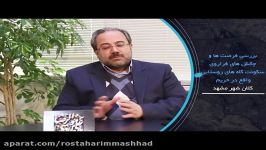 دکتر قربانی  سرپرست معاونت عمرانی استانداری خراسان رضوی 16