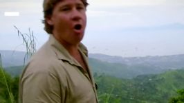 What The World Didnt Know About Steve Irwin