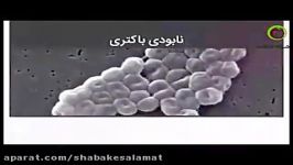 تازه ها  مننژیت