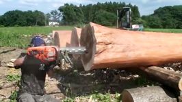 Dangerous Fast Big Tree Felling Cutting Down Turbo ChainSaw Sk