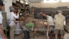 Unprotected carpenters saw wood timber in a sawmill India