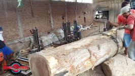 SAWING GIANT WOOD IN THE SAWMILL