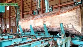 Extreme Dangerous Biggest Wood Sawmill Machine Working Fastest Chainsa