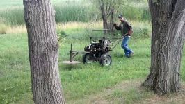 Tree felling with Ottawa buzzmaster