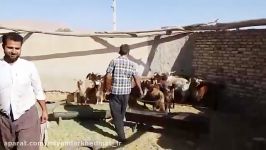 افتتاح دو واحد مسکونی ساخت شده در روستای جور کوهبنان؛ هیأت شهدای گمنام تهران