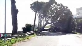 وزش باد شدید در ایتالیا کشته شدن 4 نفر