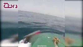 لحظه شلیک موشک کروز زیردریایی ایران در آبهای خلیج فارس