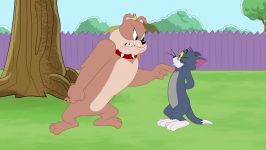 The Tom and Jerry Show  Can Tom and Spike Stop Fighting For Good  44