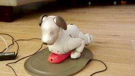 Sony Aibo Review New dog new tricks