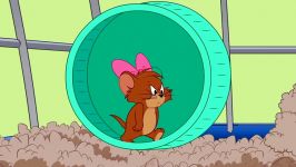 The Tom and Jerry Show  10000 Hamster Pups  72