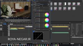 آموزش نحوه استفاده پریست های رنگ LUT در ادیوس