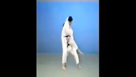 Sukui Nage  65 Throws of Kodokan Judo