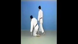 Kuchiki Taoshi  65 Throws of Kodokan Judo