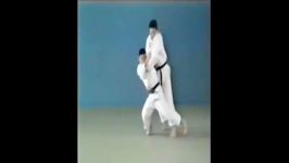 Seoi Nage  65 Throws of Kodokan Judo