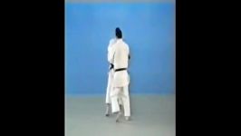 Seoi Otoshi  65 Throws of Kodokan Judo