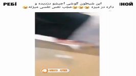 کلیپ خنده دار گوشی خواهرش رو برداشته در میره