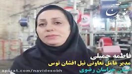 فاطمه جمیلی اگر من رییس جمهور بودم ...