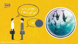 دلفینها مقصرند یا مدیر عامل منطقه آزاد ؟