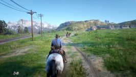 Details in Red Dead Redemption 2