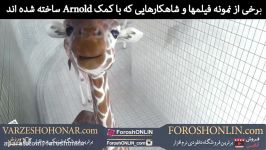 نمونه کارهای موتور رندر قدرتمند آرنولد Arnold Renderer