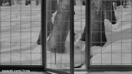 اتاق روشن 12 درباره «24 فریم» اثرِ عباس کیارستمی