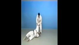 De Ashi Barai  65 Throws of Kodokan Judo