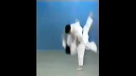 Osoto Gaeshi  65 Throws of Kodokan Judo