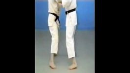 Tsubame Gaeshi  65 Throws of Kodokan Judo