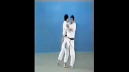 Osoto Gari  65 Throws of Kodokan Judo