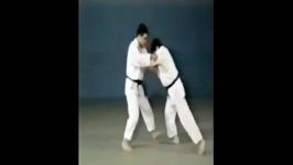 Ouchi Gari  65 Throws of Kodokan Judo