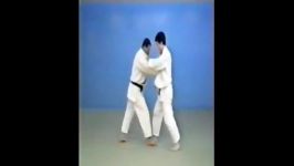 Ouchi Gaeshi  65 Throws of Kodokan Judo