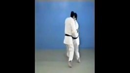 Kouchi Gari  65 Throws of Kodokan Judo