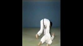 Harai Goshi Gaeshi  65 Throws of Kodokan Judo