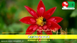 نغمات النخیل  مهدی الیراحی