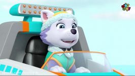 انیمیشن پاوپاترول قسمت چهاردهم فصل سوم PawPatrol S03E14