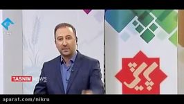 کنایه مجری تلویزیون به فامیل بازی در بین مسئولین کشور