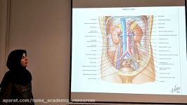 Urinary Kidney and Bladder