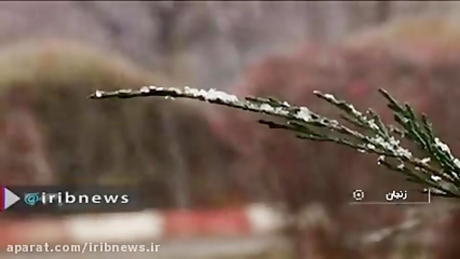 آغاز بارش شدید برف در زنجان